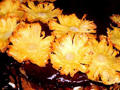 рецепт Цветы из ананаса
